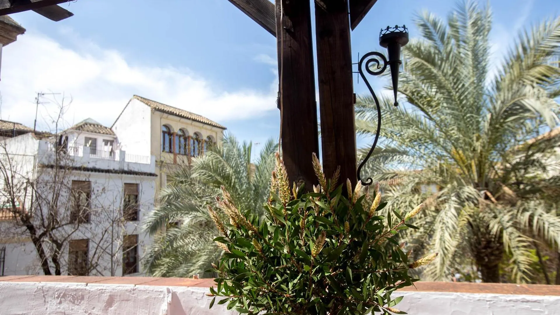 Munda Moon Villa Cordoba Spain
